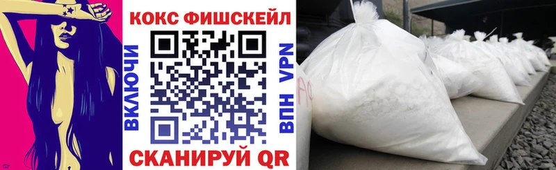 Cocaine Fish Scale  Купить закладки  Ленск 