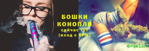 хмурый Горно-Алтайск