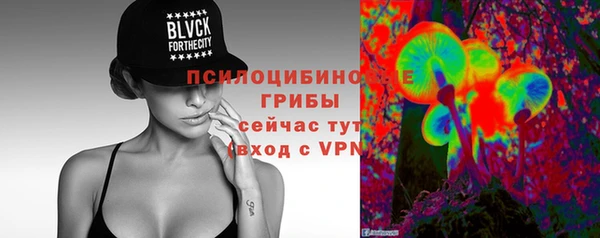 мдпв Горняк