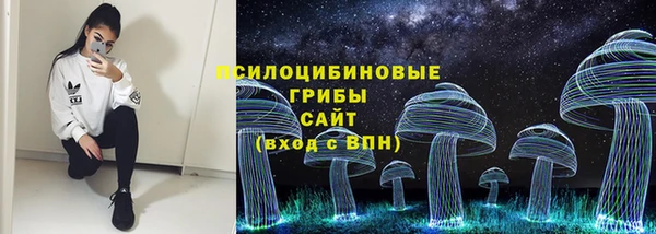 мдпв Горняк