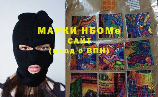 хмурый Горно-Алтайск