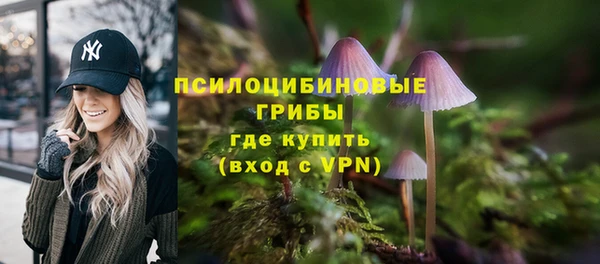 мдпв Горняк