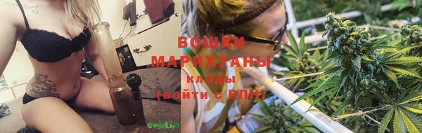 мдпв Горняк