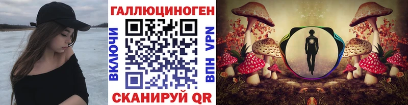 Псилоцибиновые грибы Psilocybine cubensis  Купить где  Ленск 