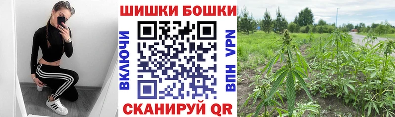 Купить закладки  Ленск  Бошки Шишки сатива 